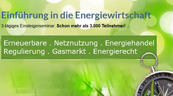 Einführung in die Energiewirtschaft