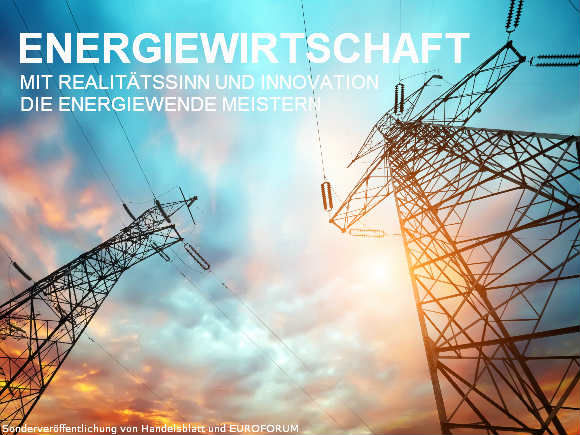 Herausforderung Energiewende - Stadtwerke brauchen neue Geschäftsmodelle | Handelsblatt Journal Energiewirtschaft